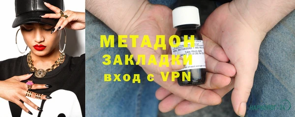 прущие грибы Волоколамск
