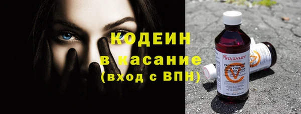прущие грибы Волоколамск