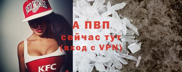 прущие грибы Волоколамск